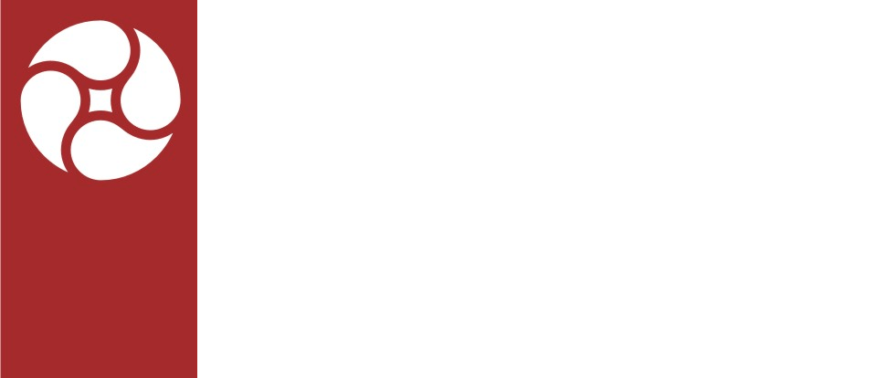 rose computer and networks managed it services logo